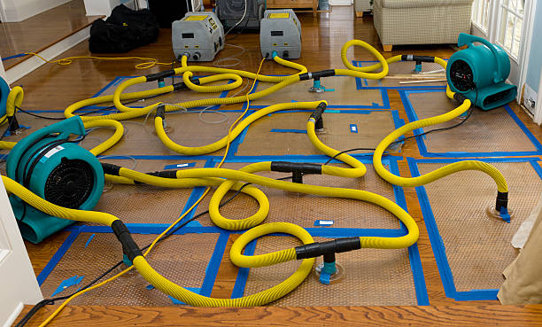 Professional Water Damage Restoration technician working in Winneconne, WI